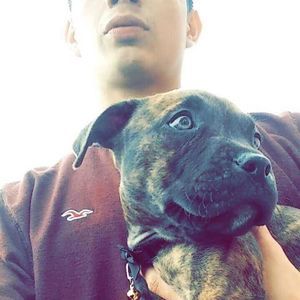 Meet your Posher, Fredy