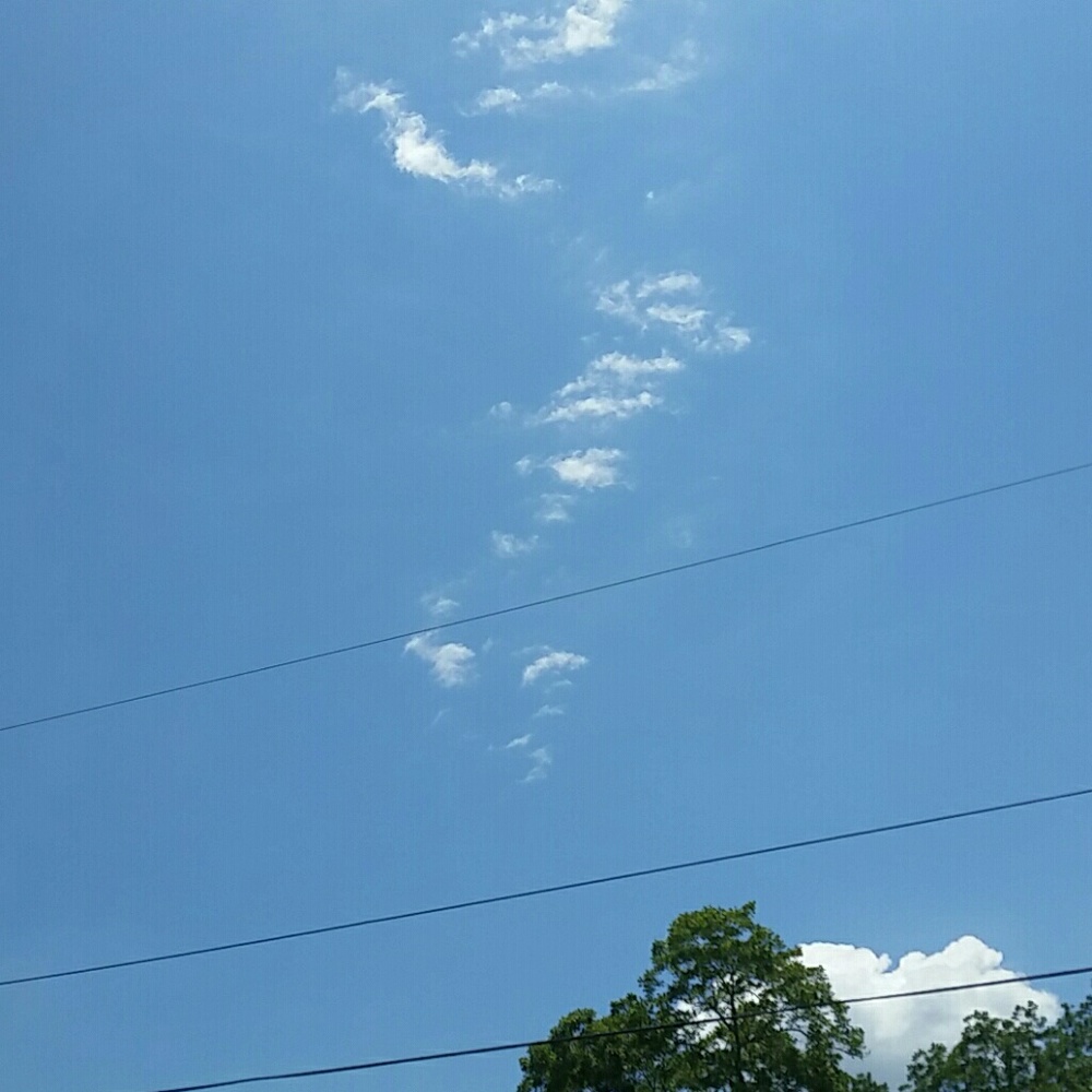 Meet your Posher, Pattie