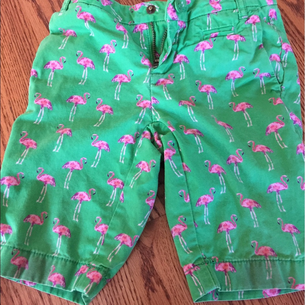 Lands end flamingo shorts