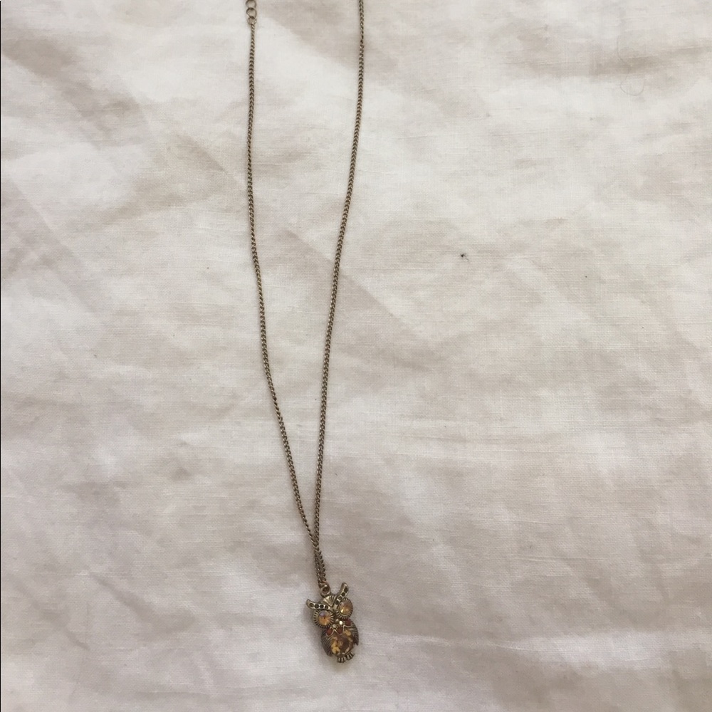Owl Pendant Necklace with 9" Chain