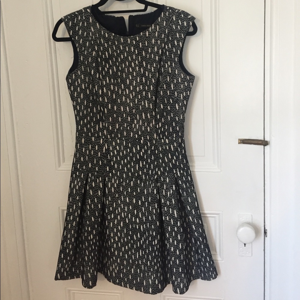 Zara fit and flare dress