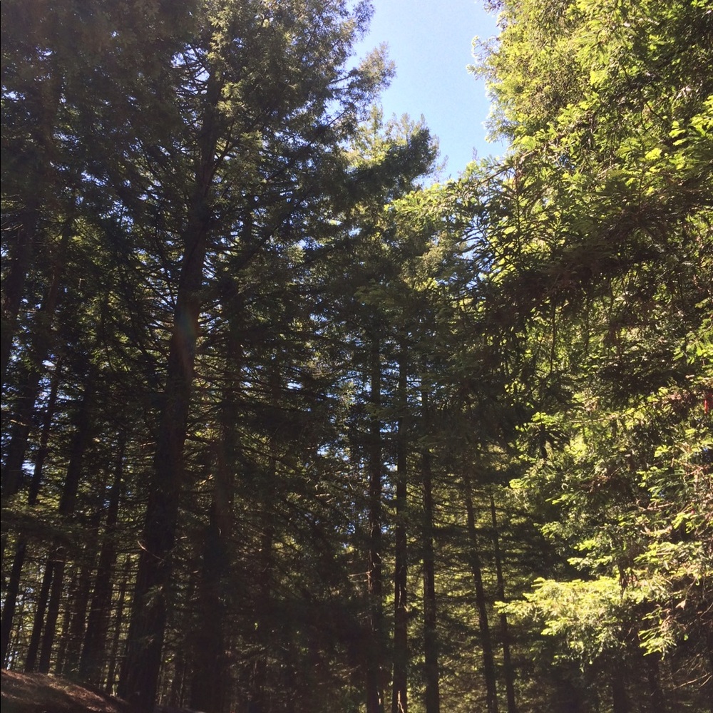 Meet your Posher, Janey