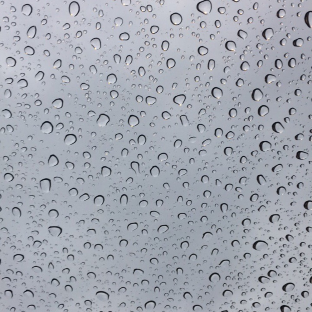 Meet your Posher, Lydia