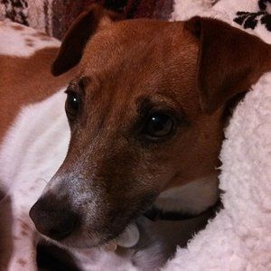 Meet your Posher, Christa