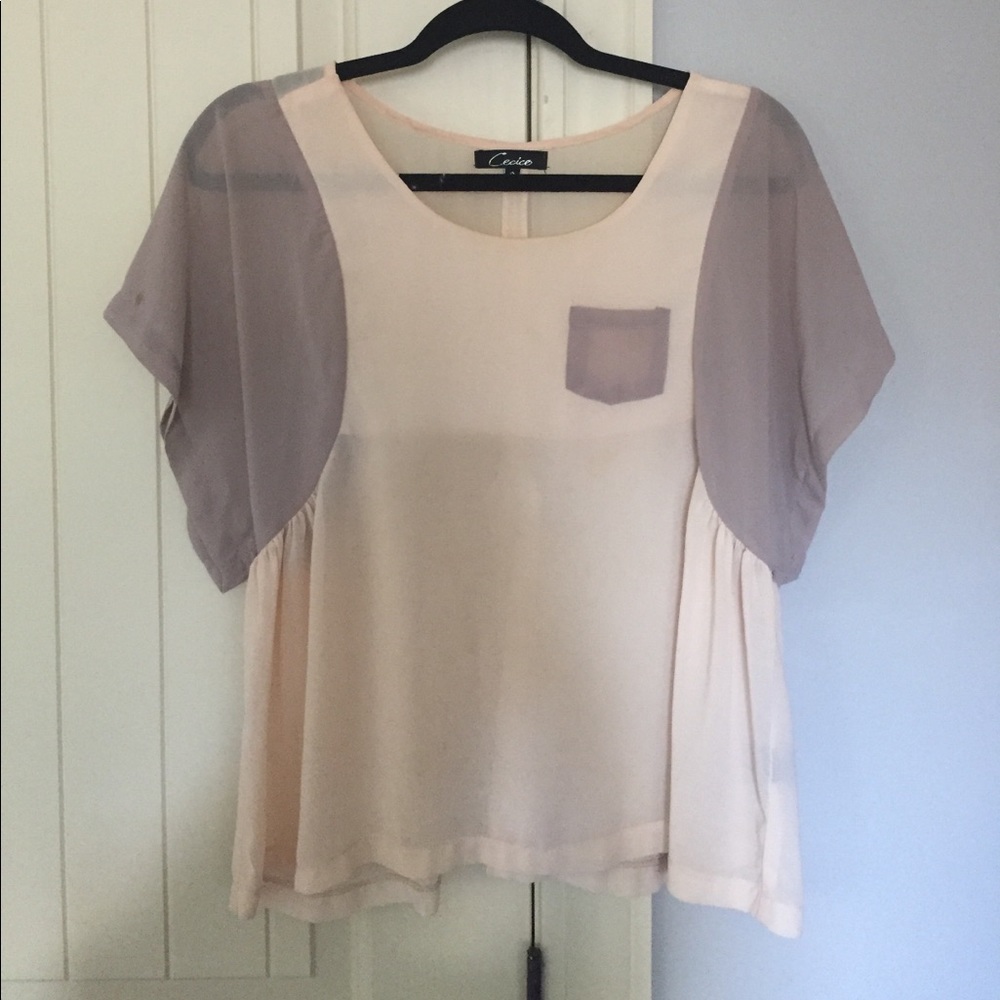 Sheer Chiffon Cecico blouse