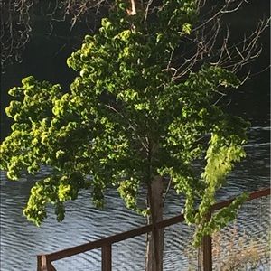 Meet your Posher, Claire