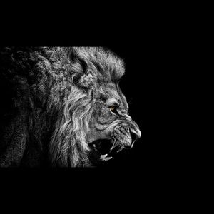 Meet your Posher, Leonard