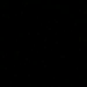 Meet your Posher, Sierra