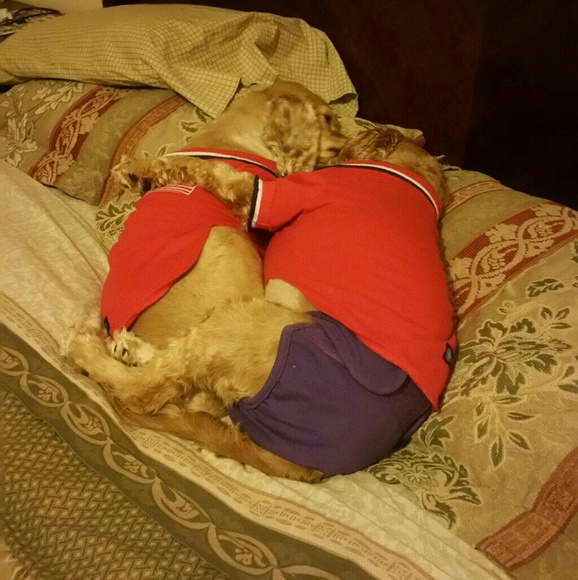 Meet your Posher, Ashley - Picture 1 of 1