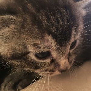 Meet your Posher, Ethan