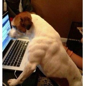 Meet your Posher, Bryan