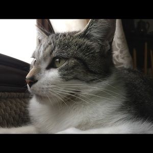 Meet your Posher, Kerry