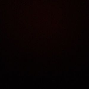 Meet your Posher, Leonardo