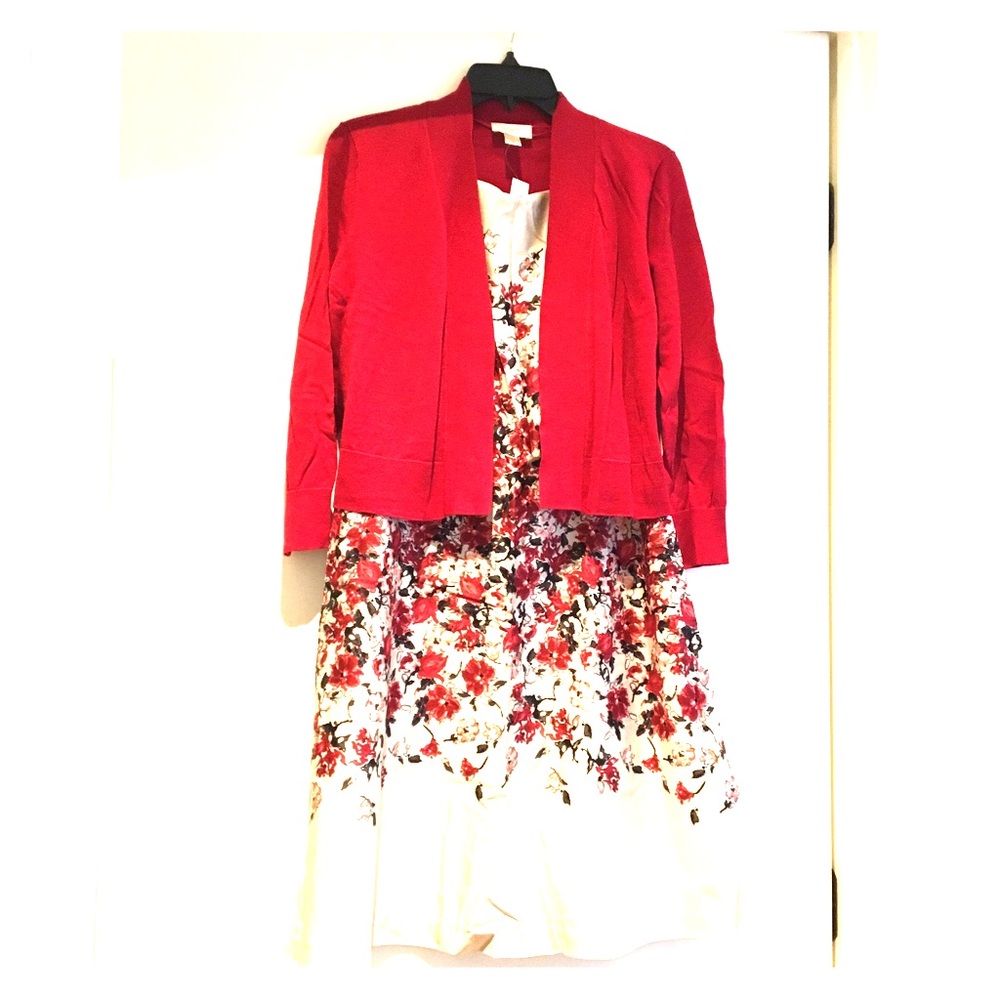 Ann Taylor LOFT dress and cardigan
