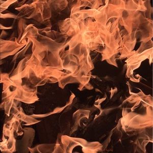 Meet your Posher, Tanner