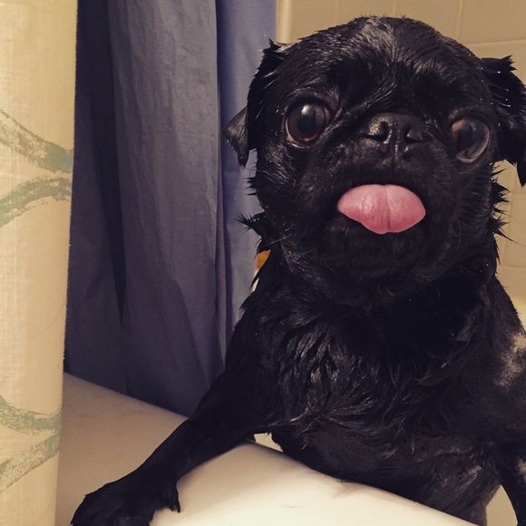 About My Closet -  ❤️🎉🦄 - Picture 6 of 9