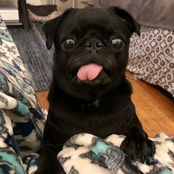 About My Closet -  ❤️🎉🦄 - Picture 7 of 9