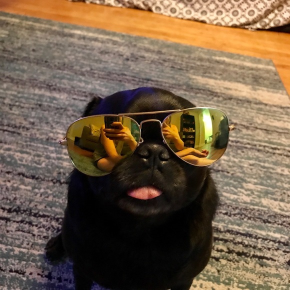 About My Closet -  ❤️🎉🦄 - Picture 8 of 9