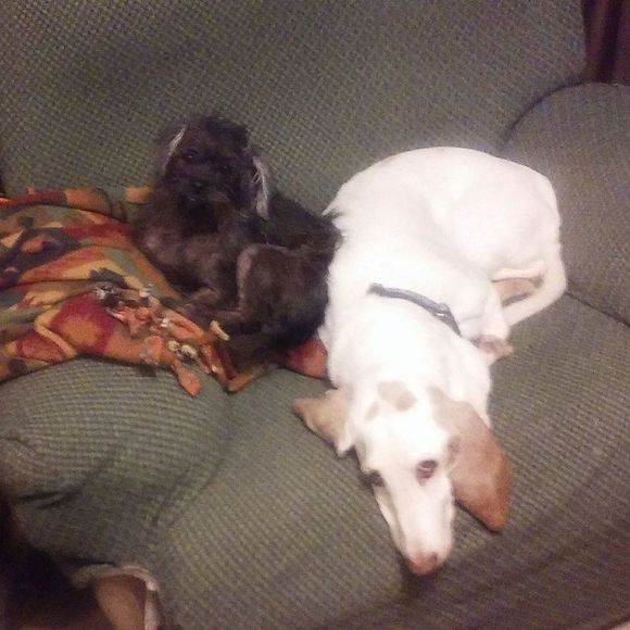 Meet your Posher, Cindy - Picture 1 of 1