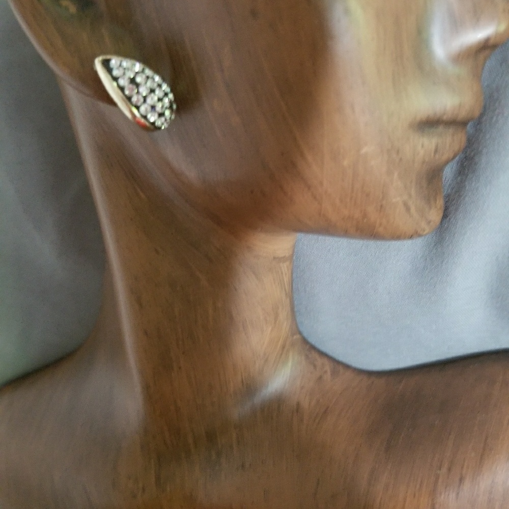 Beautiful earrings
