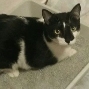 Meet your Posher, Carly