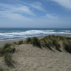 Meet your Posher, Jesse