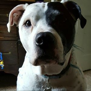 Meet your Posher, Kellie