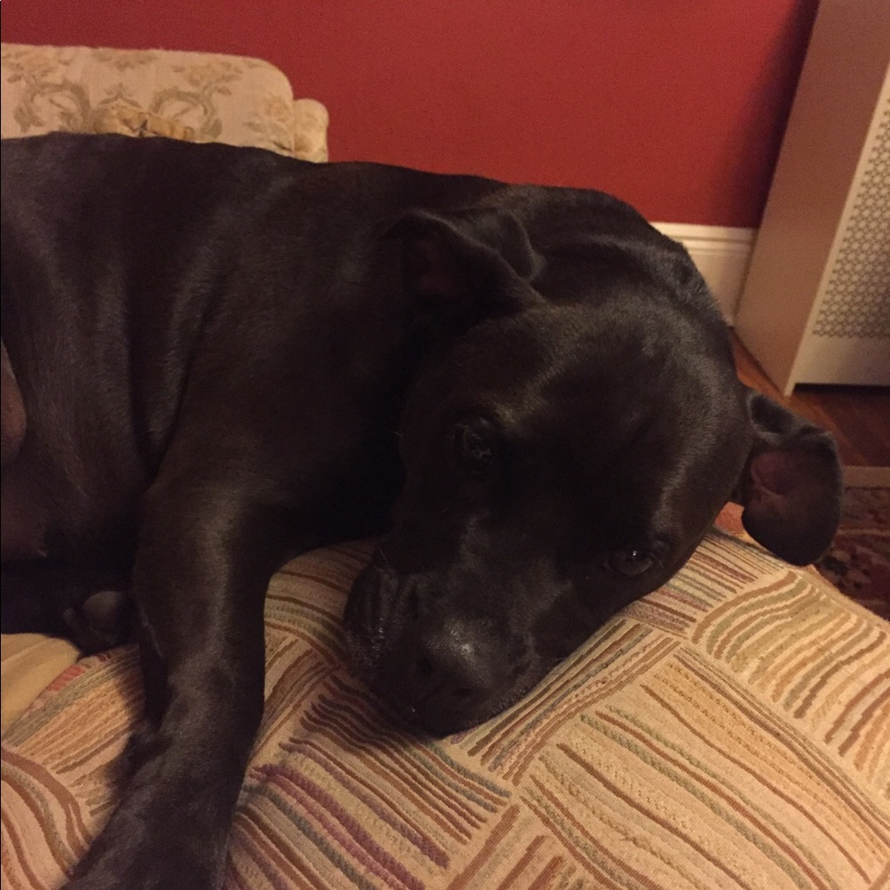 Meet your Posher, Deanna