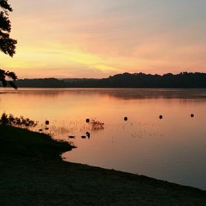 Meet your Posher, Greg