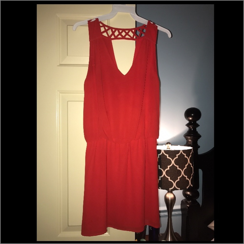 Naked zerbra red chiffon dress worn once!