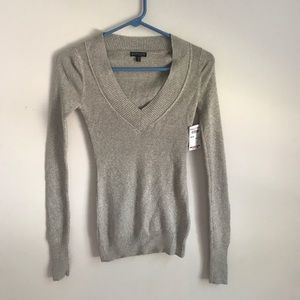 2 NWT Express VNeck Sweaters