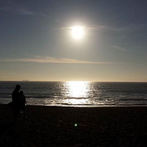 Meet your Posher, Toro - Picture 1 of 1