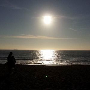 Meet your Posher, Toro