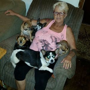 Meet your Posher, Darla