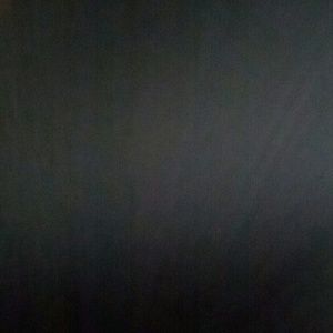 Meet your Posher, Leonel