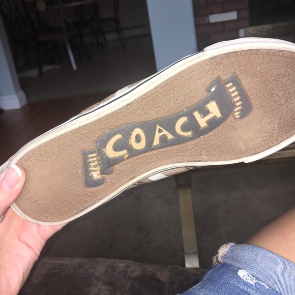 Coach signature khaki/gold webbing sneakers - Picture 5 of 6