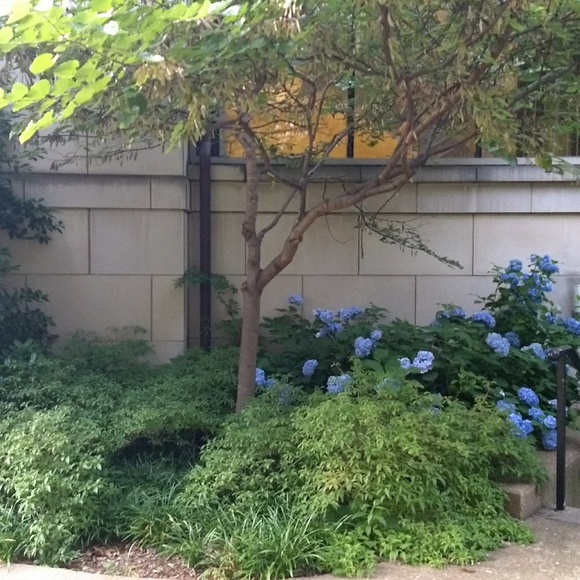 Meet your Posher, Heidi - Picture 1 of 1