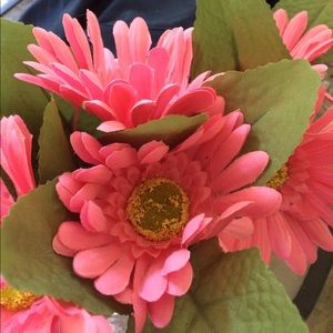 Meet your Posher, Sonia