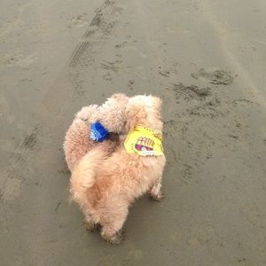 Meet your Posher, Kenia