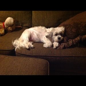 Meet your Posher, Wanda