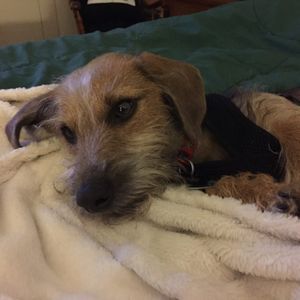 Meet your Posher, Laurie