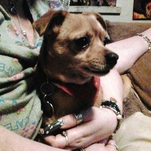 Meet your Posher, Terri