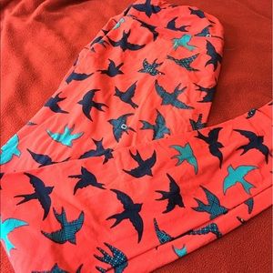 LuLaRoe Bird TC leggings