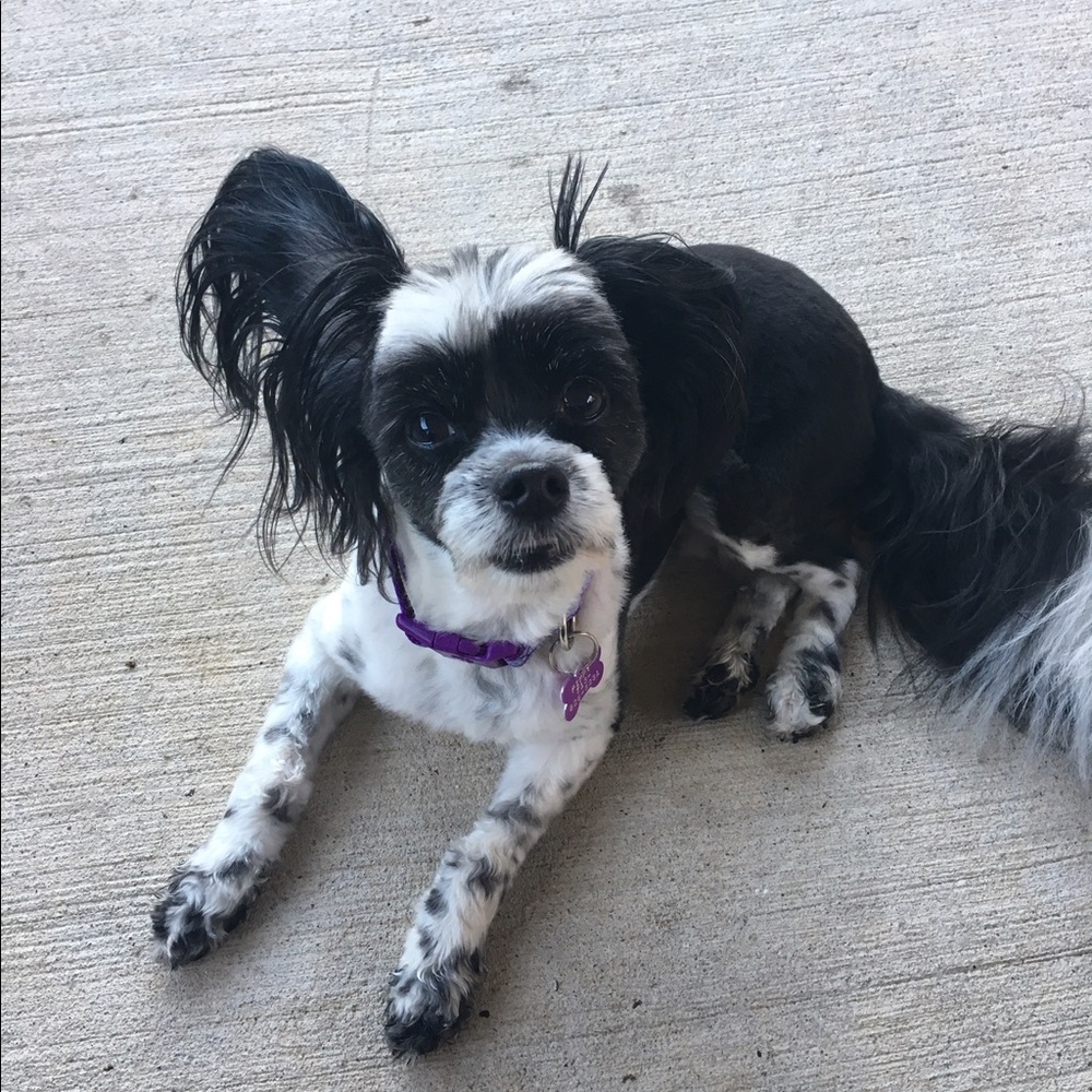 Meet your Posher, Marilyn