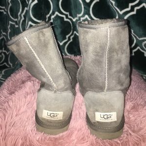 Classic Short Gray Uggs