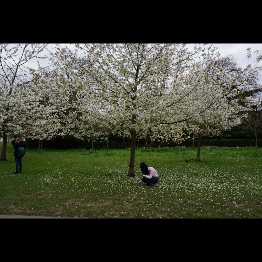 Meet your Posher, Jessica