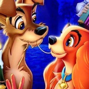 Meet your Posher, Jenn