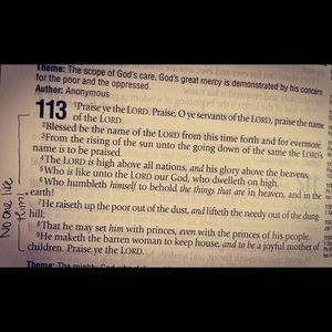 Meet your Posher, Morgan