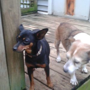 Meet your Posher, Carol