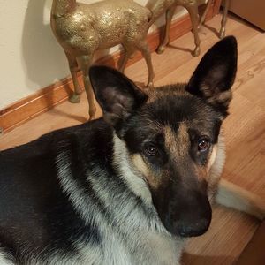 Meet your Posher, Lori